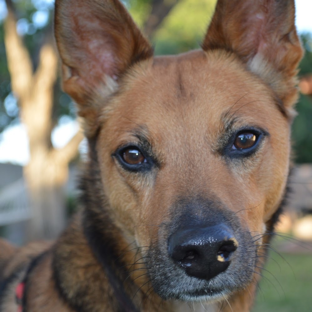 Meet your Posher, Julia